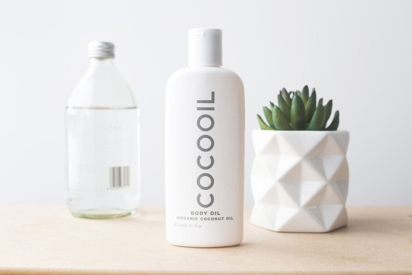 Haircare product bottles beside a small potted plant